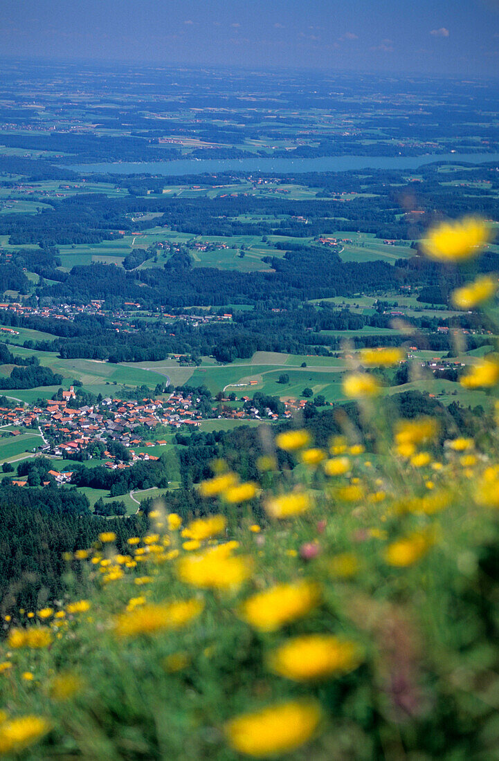 Blick auf Grainbach und Simssee, mit Blumenwiese im Vordergrund, Chiemgau, Oberbayern, Bayern, Deutschland