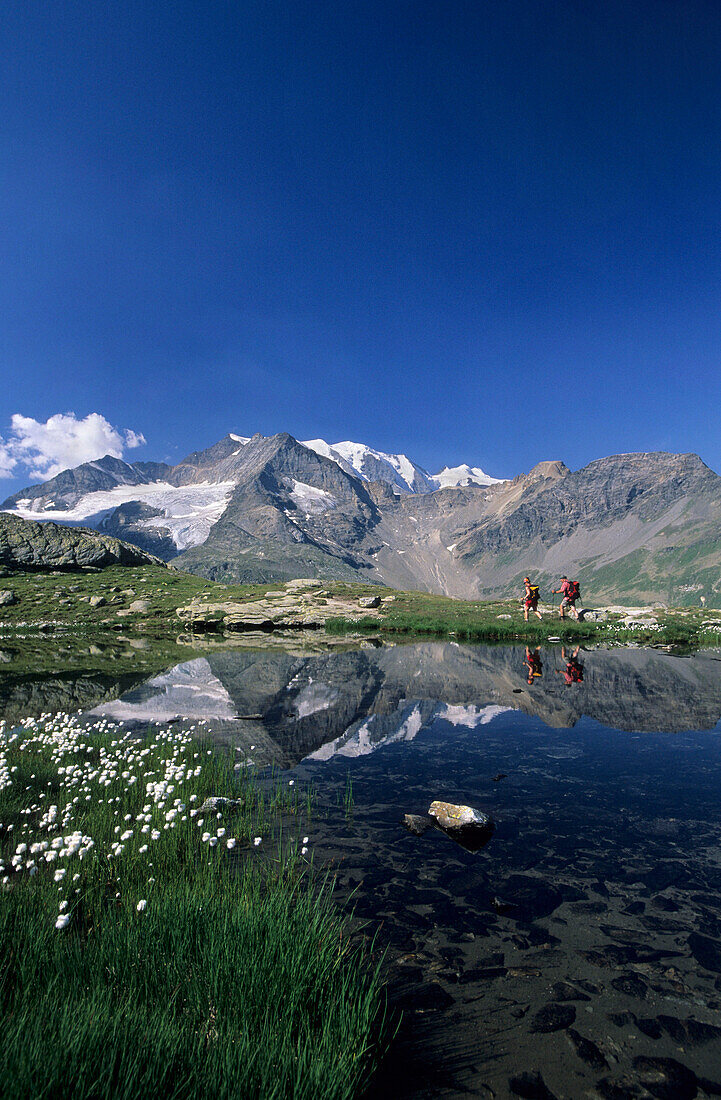 Zwei Wanderer an Bergsee, Piz Palü und Bellavista im Hintergrund, Bernina, Oberengadin, Graubünden, Schweiz