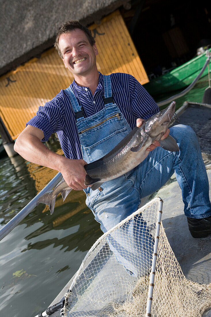 Ein Fischer mit Stör, Sietow Dorf Fischräucherei, Mueritz, Mecklenburgische Seenplatte, Mecklenburg Vorpommern, Deutschland