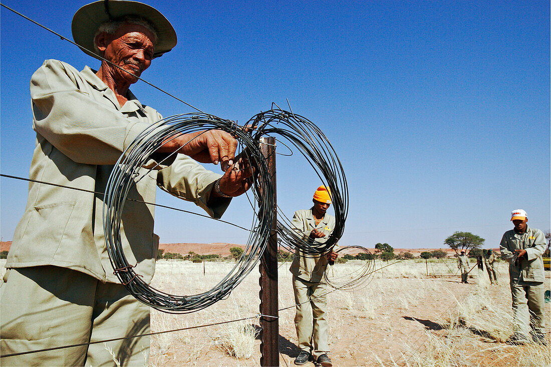 Ein alter Mann und Angstellter der Namib Desert Lodge bricht einen Zaun ab. Er arbeitet für das ökologische Programm Fence Free Namibia. Es soll den Tieren wieder eine freies Umherziehen ermöglichen. Gondwana Namib Desert Park. Wüste Namib. Südliches Nami