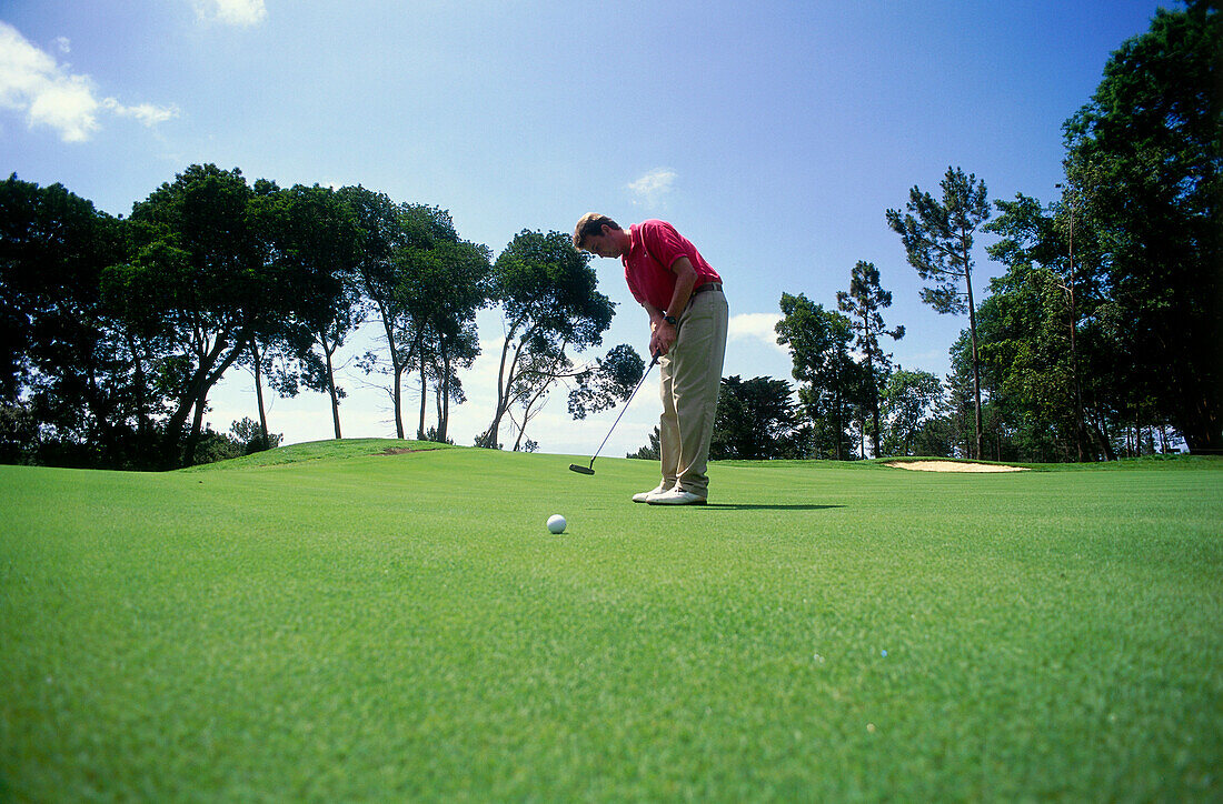 A golfer playing golf at Palheiro Golf Club, Funchal, Madeira, Portugal, Europa