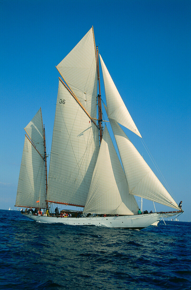 A sailing boat near St. Tropez, French Riviera, Provence, France, Europa