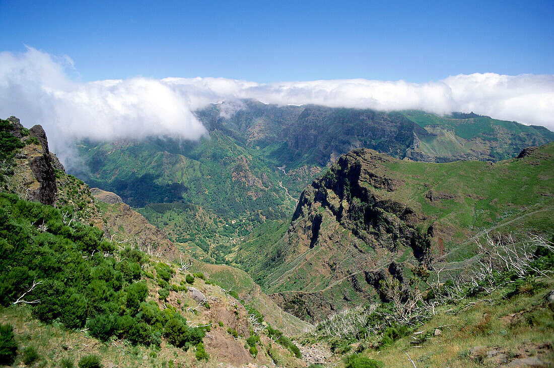 Landschaft, Madeira, Portugal, Europa