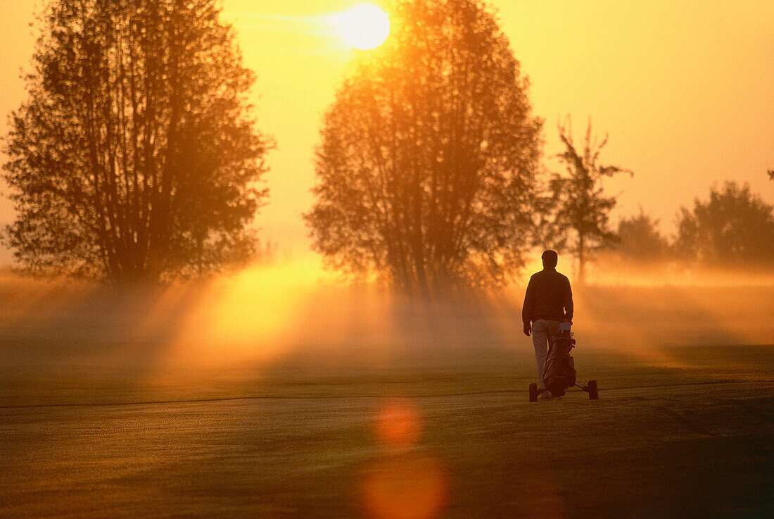 Silhouette of a man playing golf in the sunset, golf course near Starnberg, Upper Bavaria, Germany