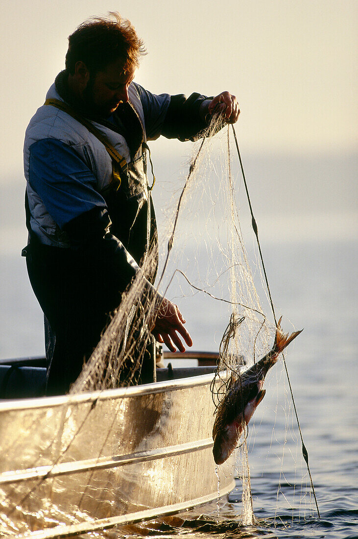 A man fishing in lake Chiemsee, Bavaria, Germany, Europe