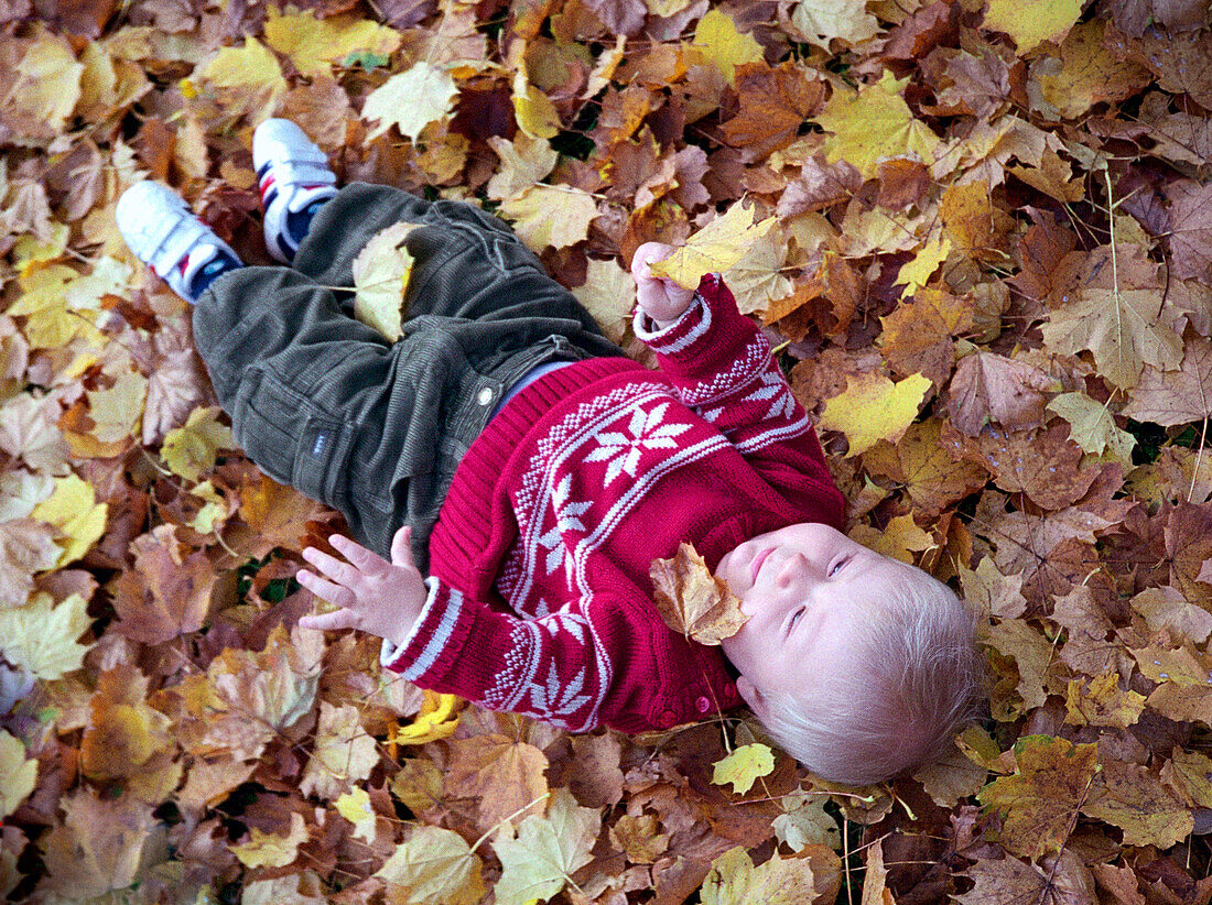 Little boy lying in heap of leaves