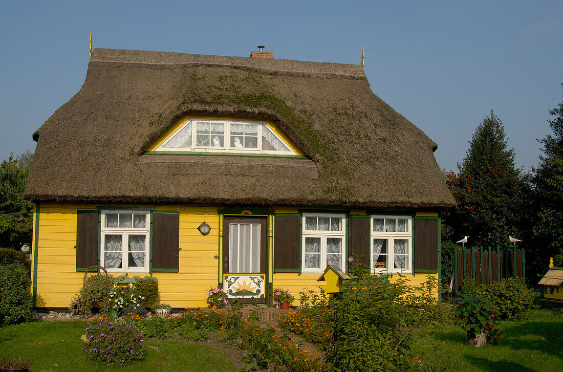 Born, house with thatched roof, Fischland-Darß-Zingst, Mecklenburg-Pomerania, Germany, Europe