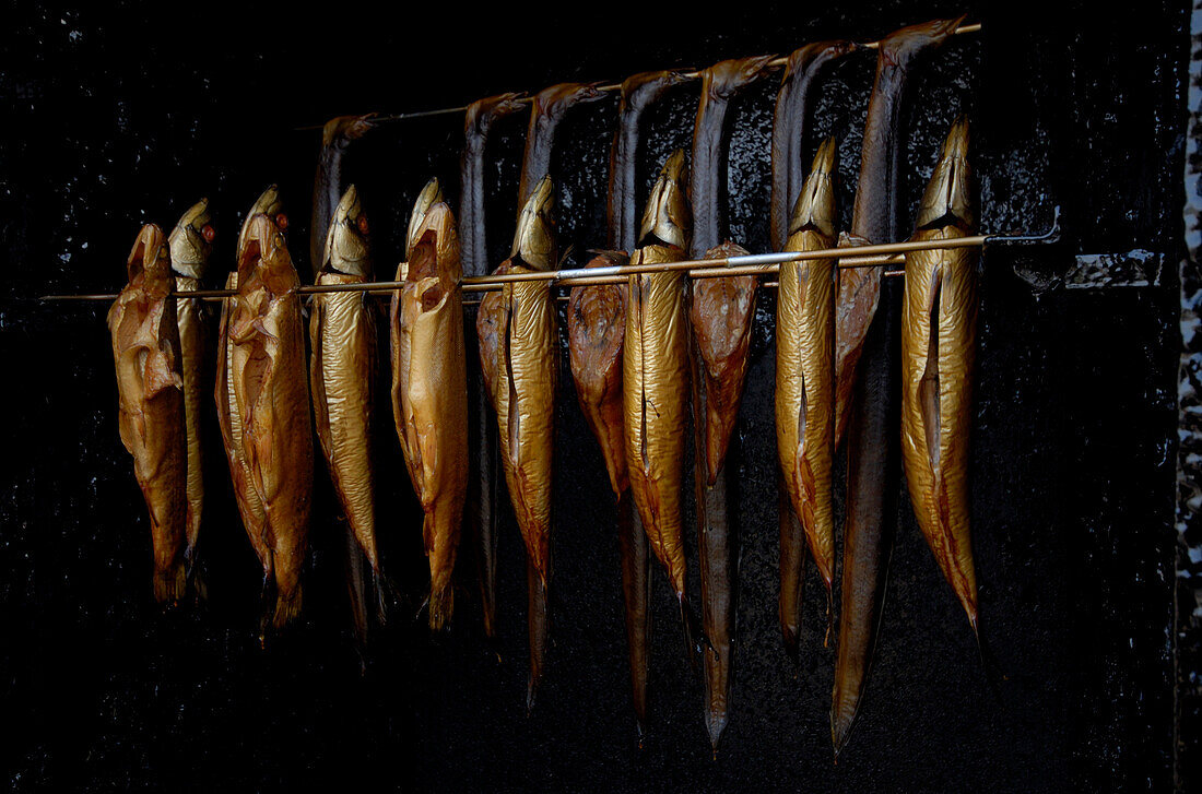 Smoked fish, Bodden-harbour near Prerow, Fischland-Darß-Zingst, Mecklenburg-Pomerania, Germany, Europe