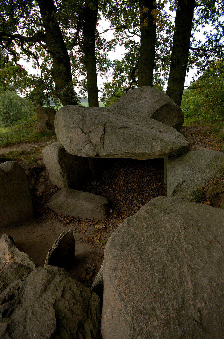 Insel Rügen, Hünengrab bei Lancken-Granitz, Mecklenburg-Vorpommern, Deutschland, Europa