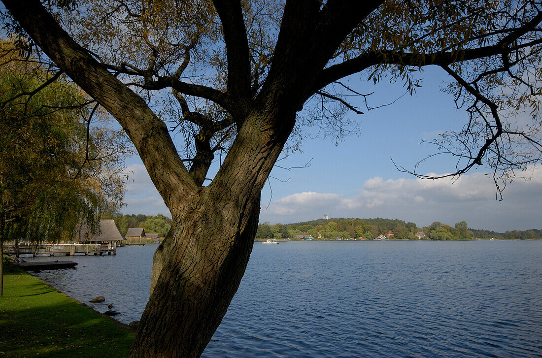 Lake Krakow, Mecklenburg-Pomerania, Germany, Europe