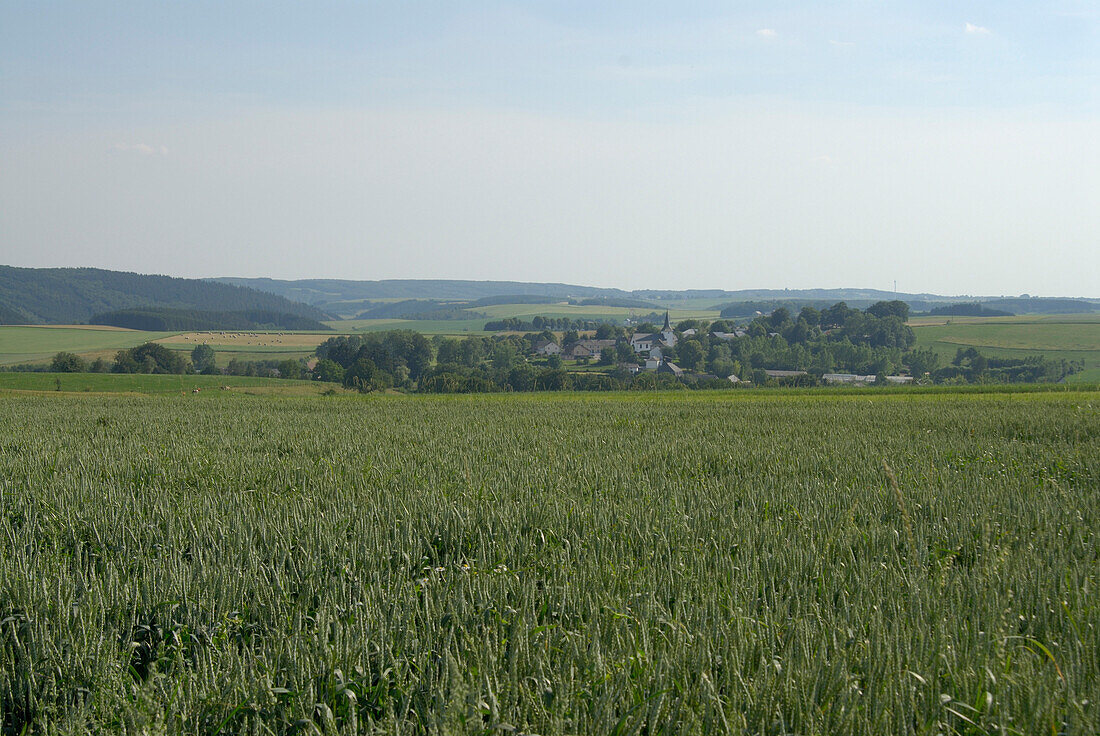 Landscape near Doennange, Luxembourg, Europe