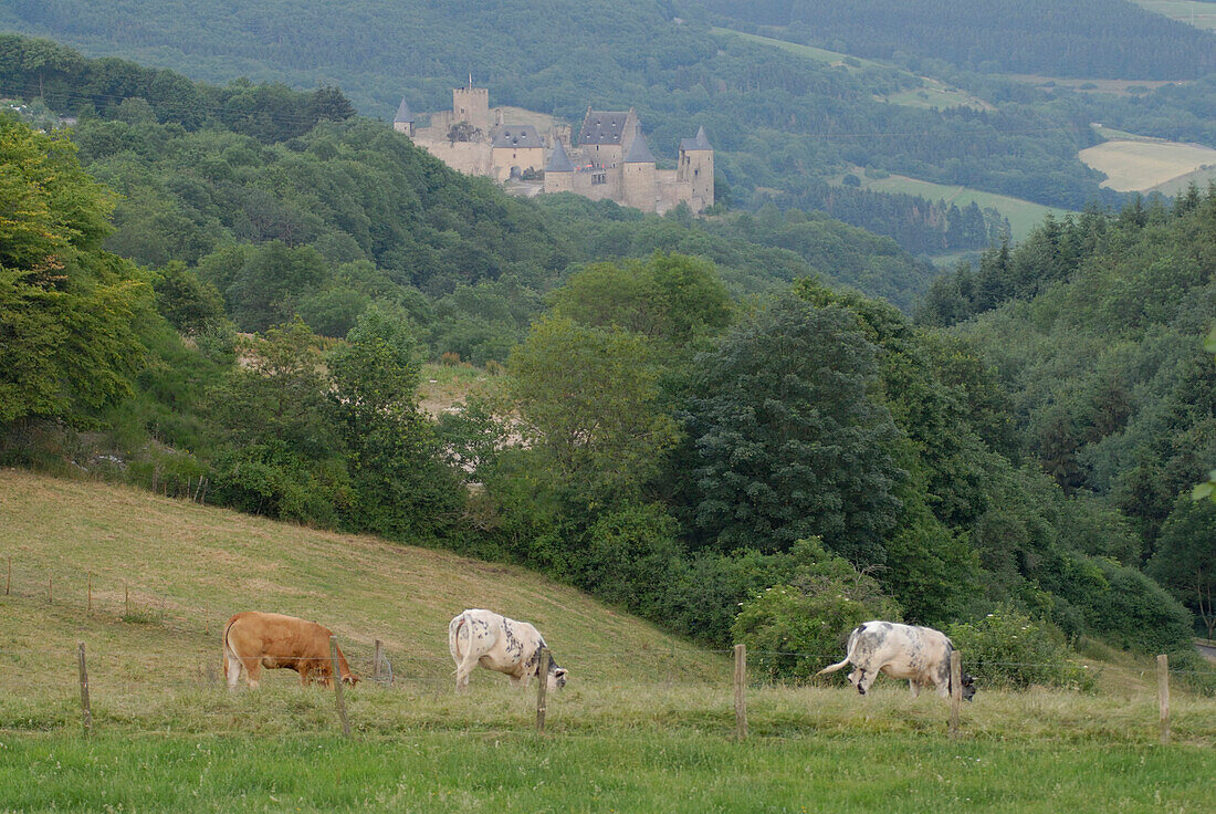 Bourscheid, castle, Luxembourg, Europe