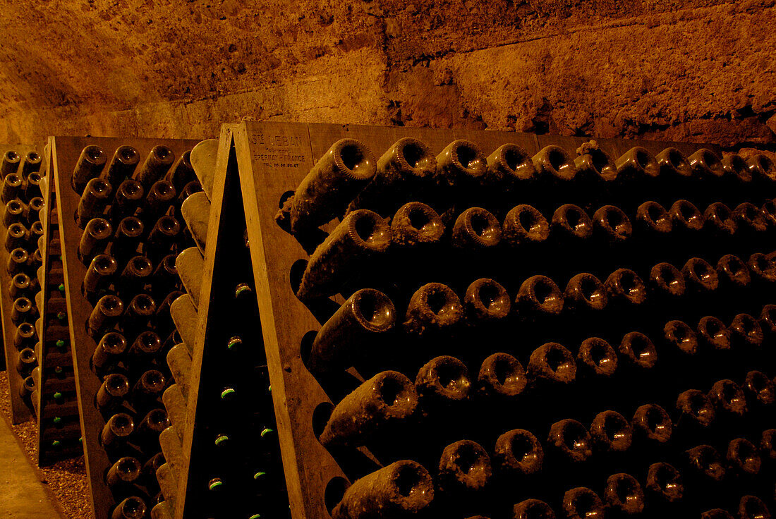 Staubige Weinflaschen in einer Kellerei, Remich an der Mosel, Luxemburg, Europa