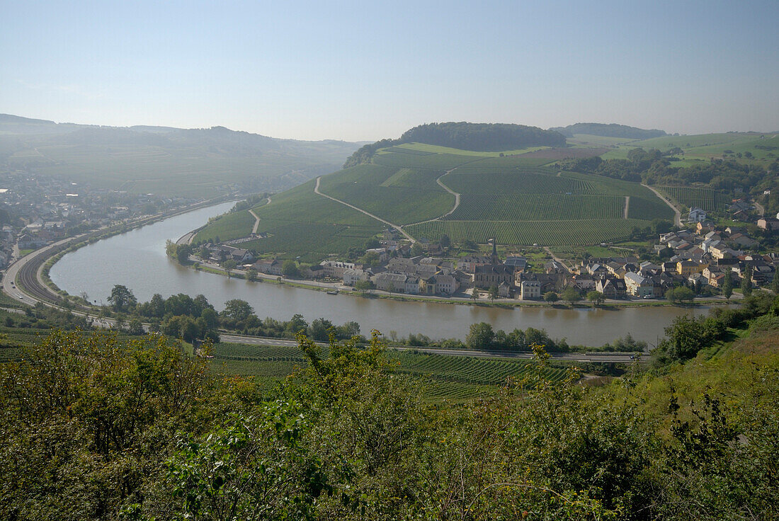 Landschaft mit Weinbergen und Moselschleife, Machtum, Luxemburg, Europa
