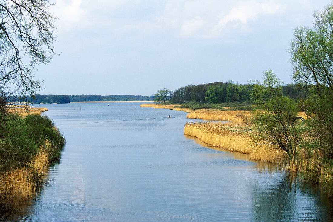 View of Lake Mueritz, Mecklenburg-Vorpommern, Germany