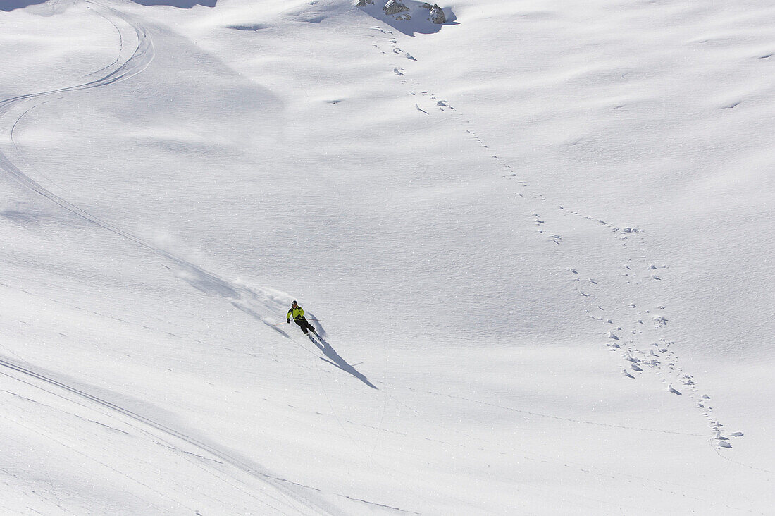 Woman freeriding, Dammkar, Mittenwald, Bavaria, Germany