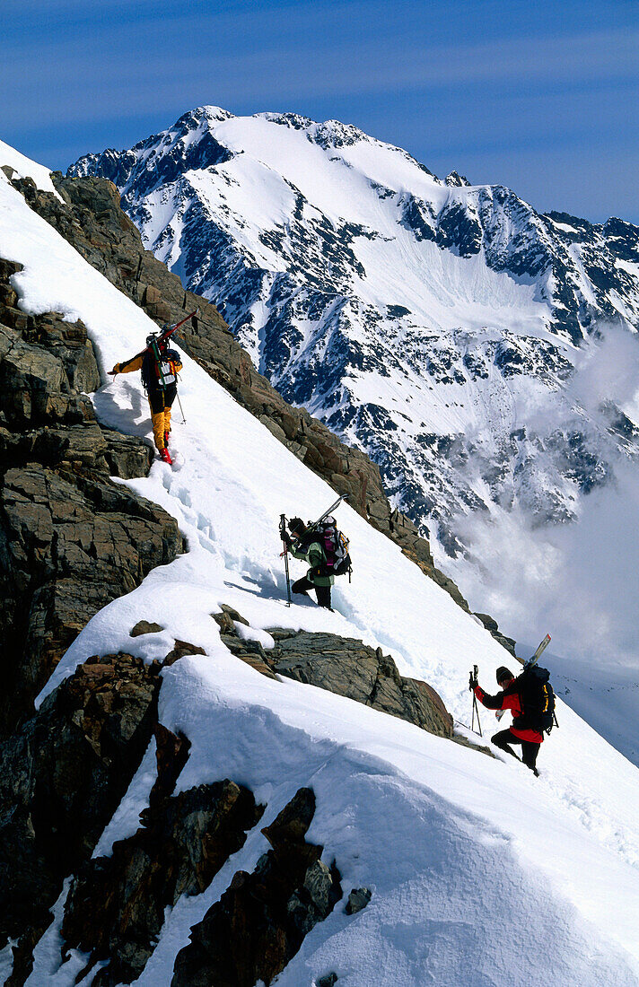 Three people on a skitour to the summit, Stubai, Tyrol, Austria