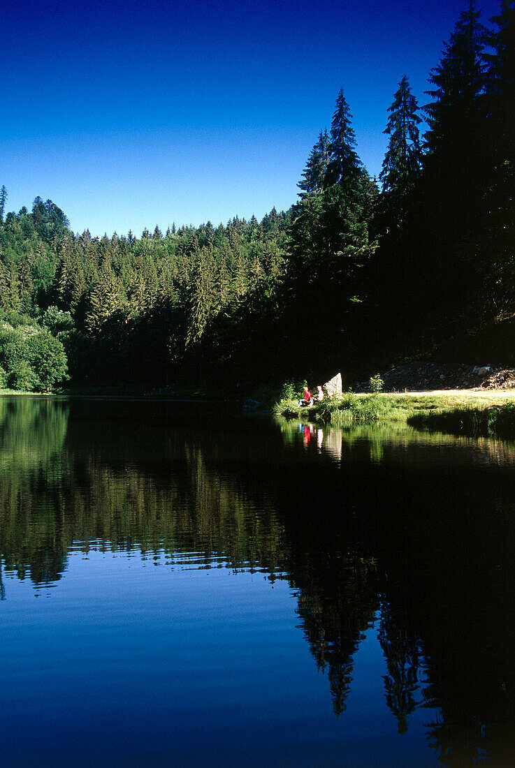 Nonnenmattweiher, Black Forest, Baden-Wuerttemberg, Germany