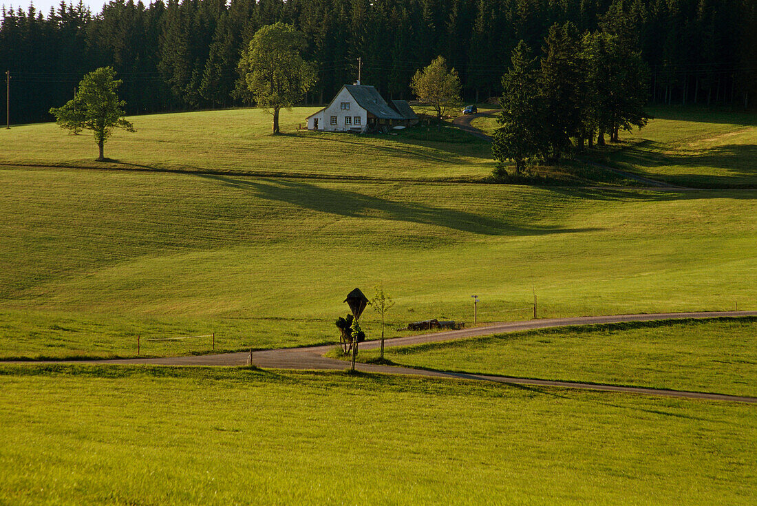 Schwarzwaldhaus bei Waldau, Schwarzwald, Baden-Württemberg, Deutschland