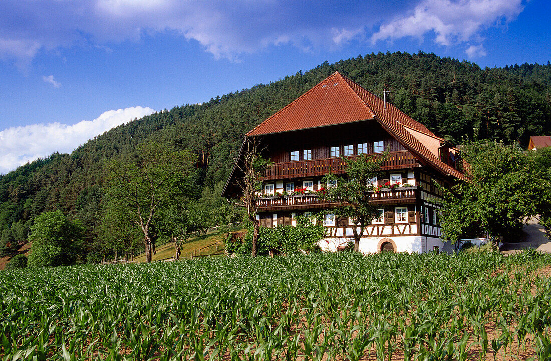 Schwarzwaldhaus bei Gutach, Schwarzwald, Baden-Württemberg, Deutschland