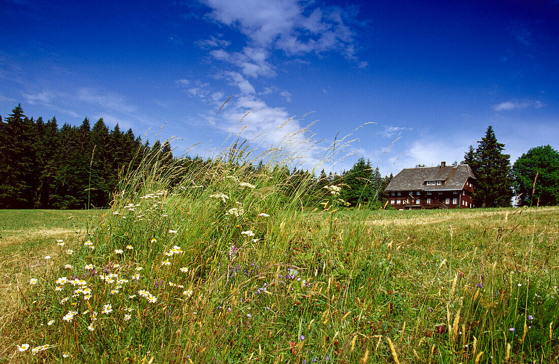 Schwarzwaldhaus bei Triberg, Schwarzwald, Baden-Württemberg, Deutschland
