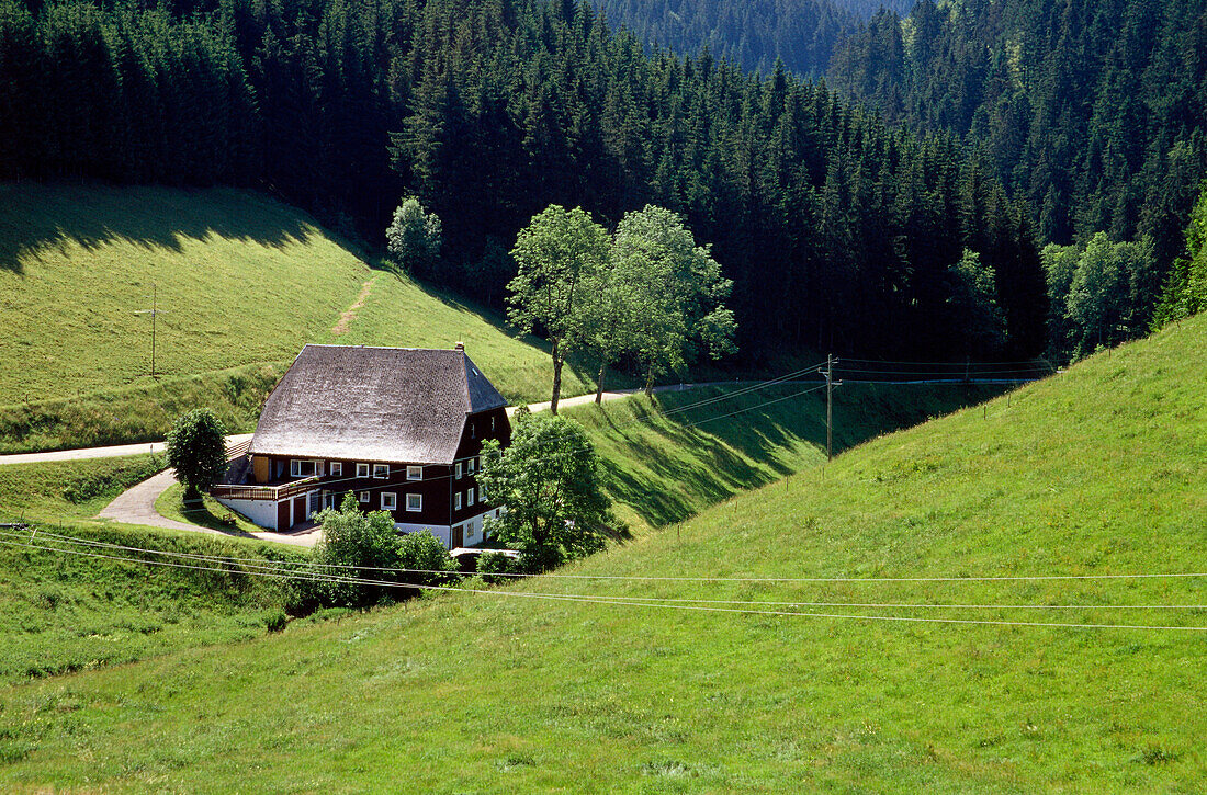 Schwarzwaldhaus bei Furtwangen, Schwarzwald, Baden-Württemberg, Deutschland