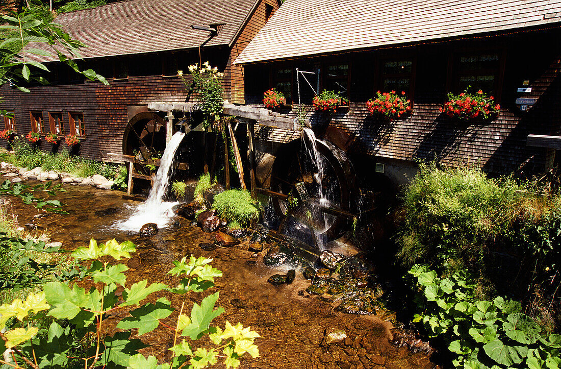 Hexenlochmühle, Schwarzwald, Baden-Württemberg, Deutschland