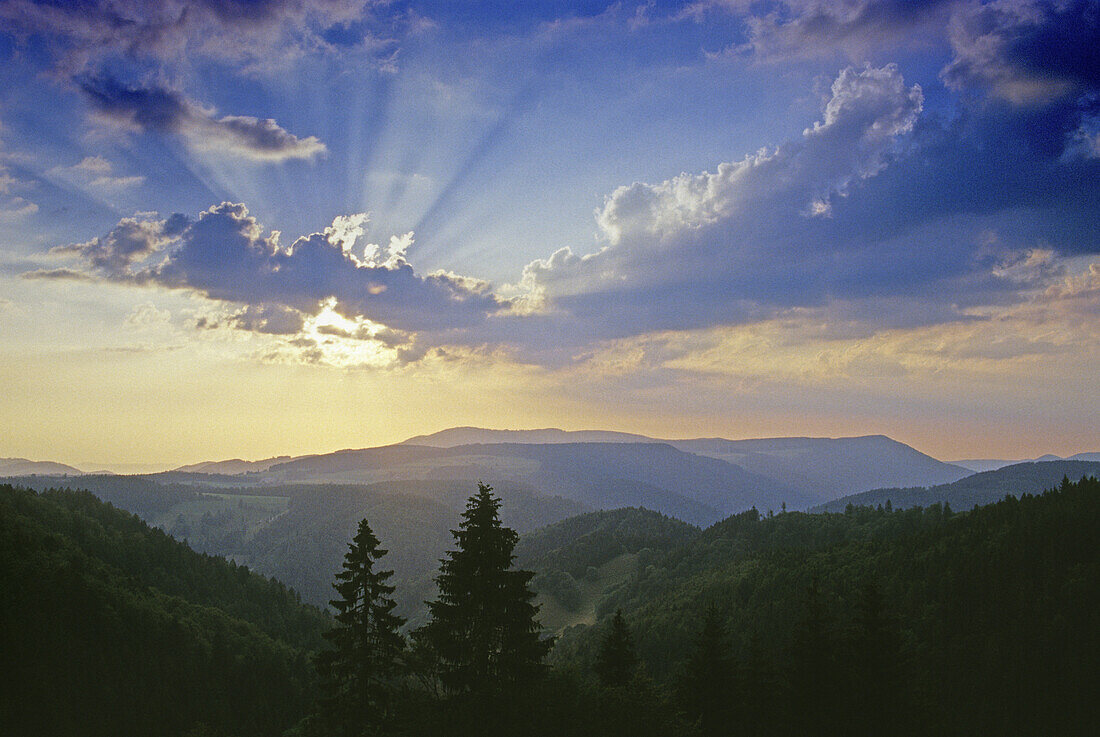 Evening Mood near Furtwangen, Black Forest, Baden-Wuerttemberg, Germany