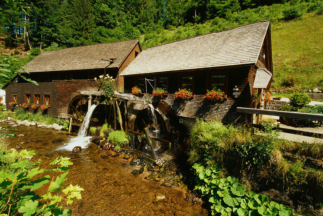 Hexenlochmühle bei Furtwangen, Schwarzwald, Baden-Württemberg, Deutschland