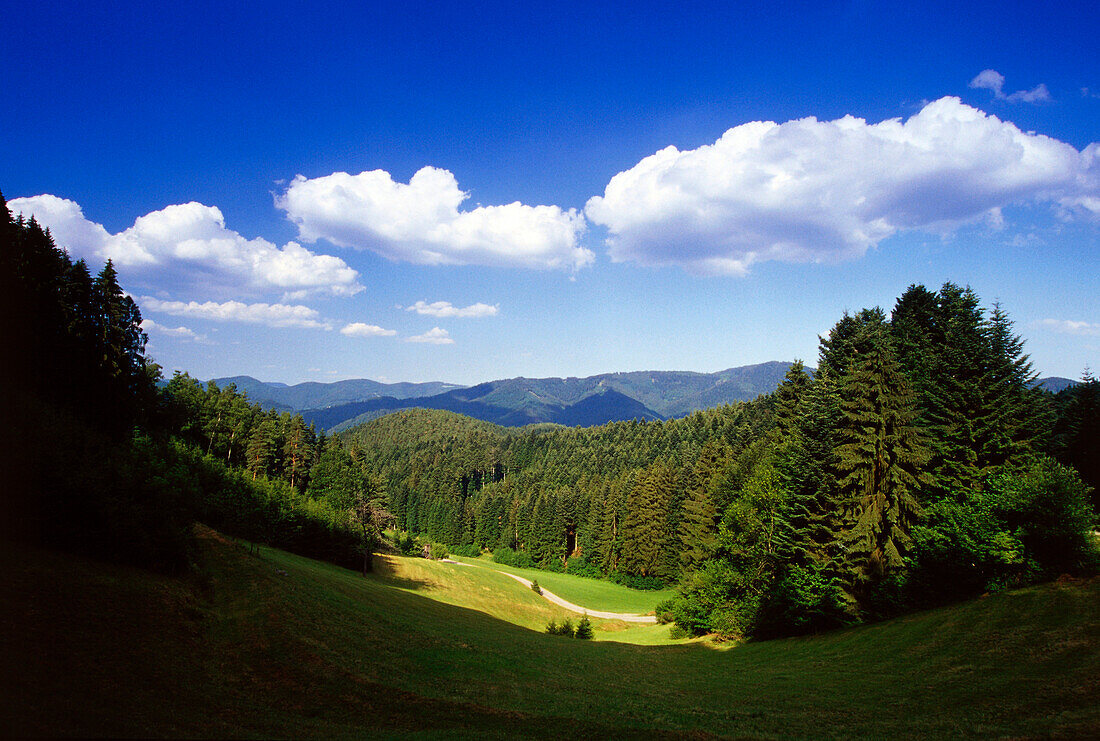 Landscape near Landwassereck, Black Forest, Baden-Wuerttemberg, Germany