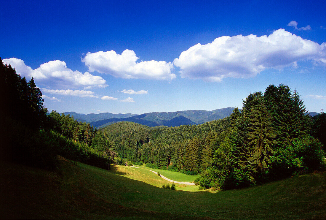 Landschaft am Landwassereck, Schwarzwald, Baden-Württemberg, Deutschland