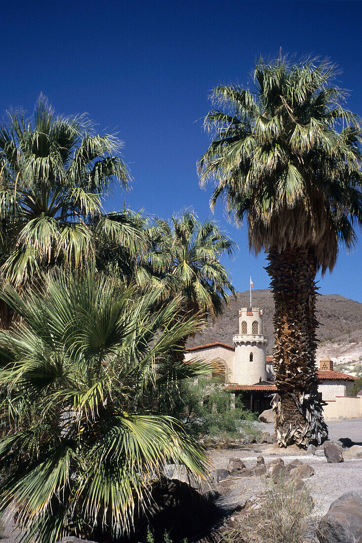 Palm trees & Scotty's Castle, Death Valley National Park, California, USA