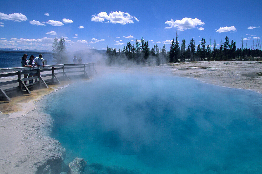 Black Pool Thermal Pool, West Thumb Geyser Basin, Yellowstone National Park, Wyoming, USA