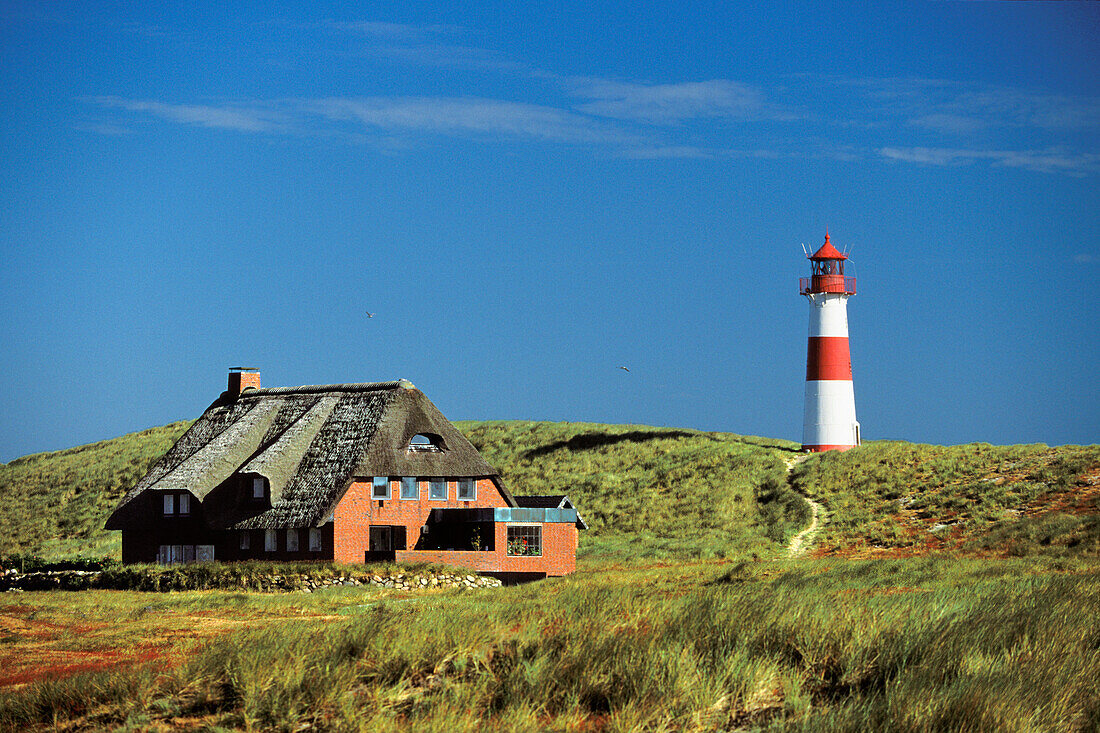 Thatched House house in the dunes and List East lighthouse, List, Sylt, Schleswig Holstein, Germany