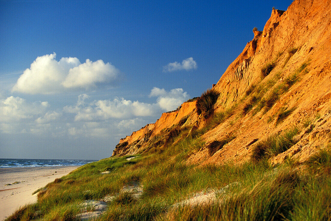 Sunset at Red Cliff near Kampen, Sylt, Schleswig-Holstein, Germany