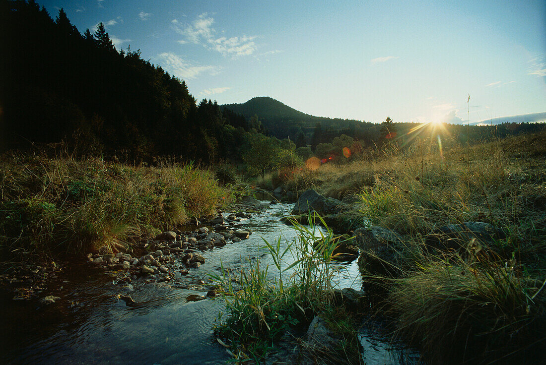 Tal der Schönau, Quellfluss der Schwarza, Thüringen, Deutschland