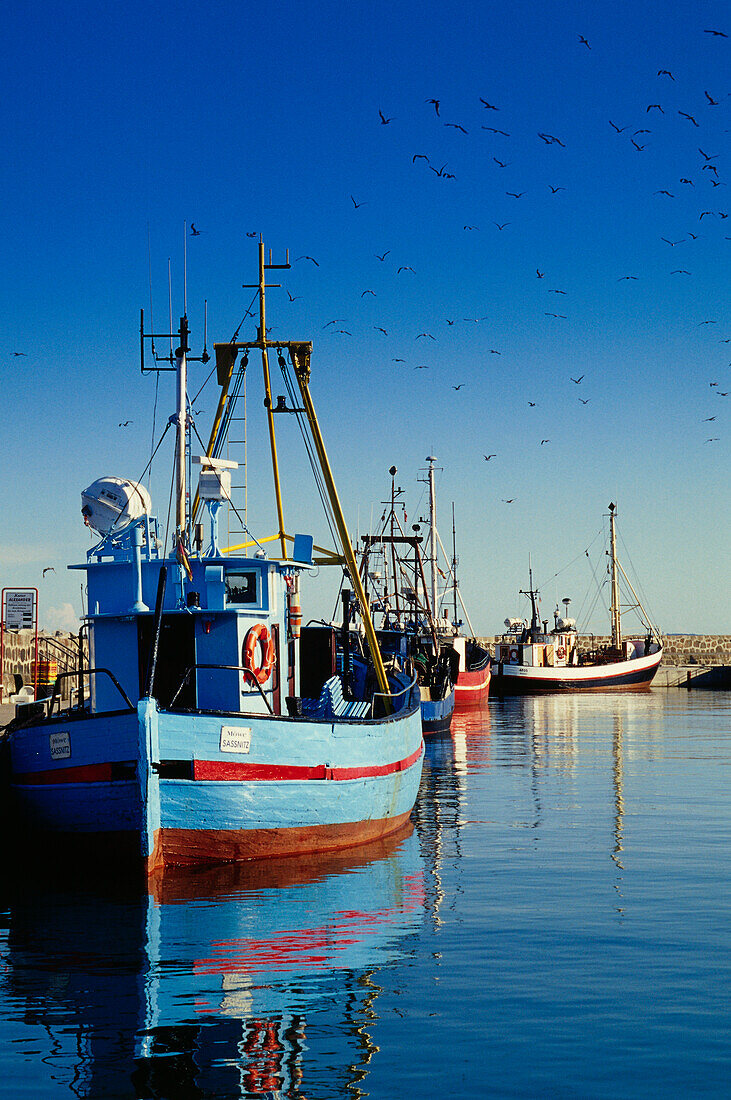 Fishing boats at harbor, Ruegen, Mecklenburg-Western Pomerania, Germany