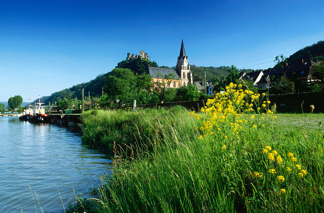 Schönburg und Liebfraunkirche, Oberwesel, Rhein, Rheinland-Pfalz, Deutschland