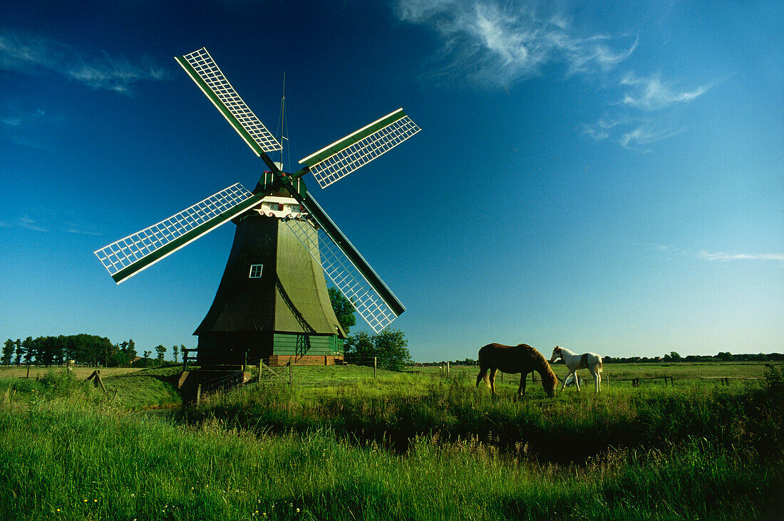 Drainage mill Wynhamsterkolk, Ditzumerhammrich, East Friesland, Lower Saxony, Germany