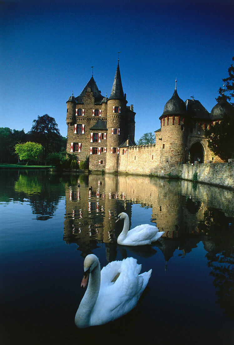 Burg Satzvey, Mechernich, Eifel, Nordrhein-Westfalen, Deutschland