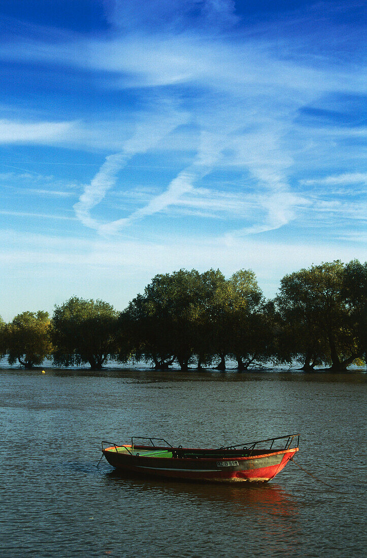 Empty boat on River Rhine, Oestrich-Winkel, Hesse, Germany