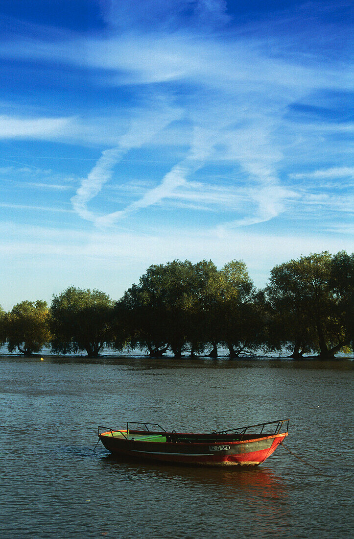 Verlassenes Boot auf dem Rhein, Oestrich-Winkel, Hessen, Deutschland