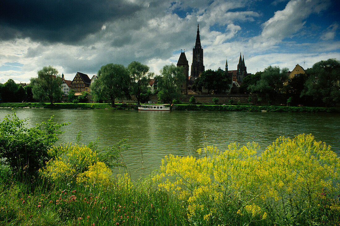 Blick über die Donau zum Ulmer Münster, Ulm, Baden-Württemberg, Deutschland