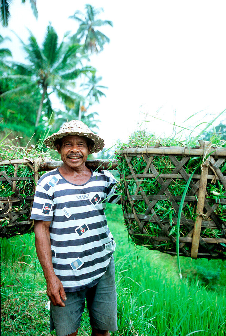 Reisbauer auf Bali, Indonesien