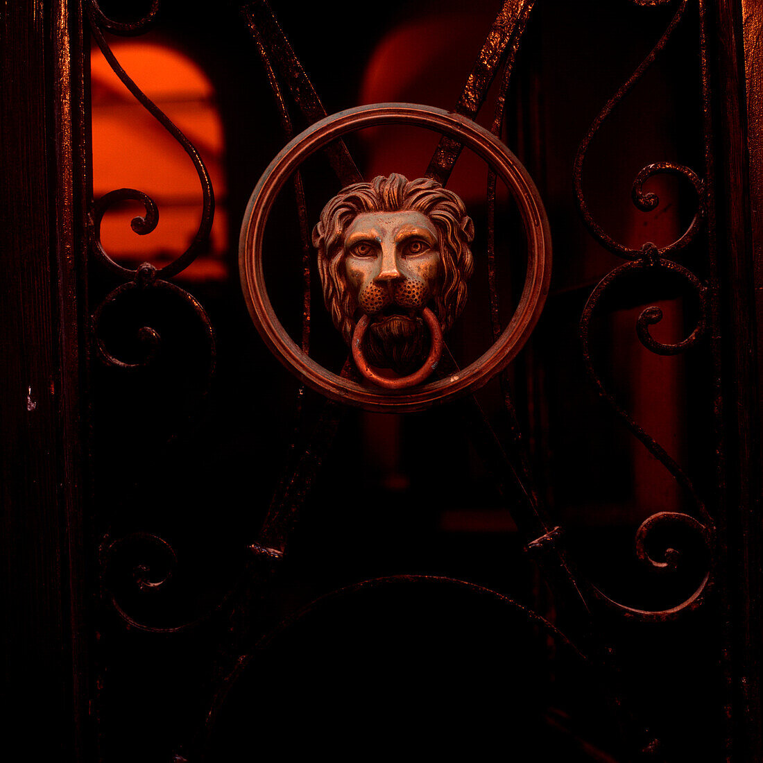 Lion head shaped door knocker, Dubrovnik, Dalmatia, Croatia