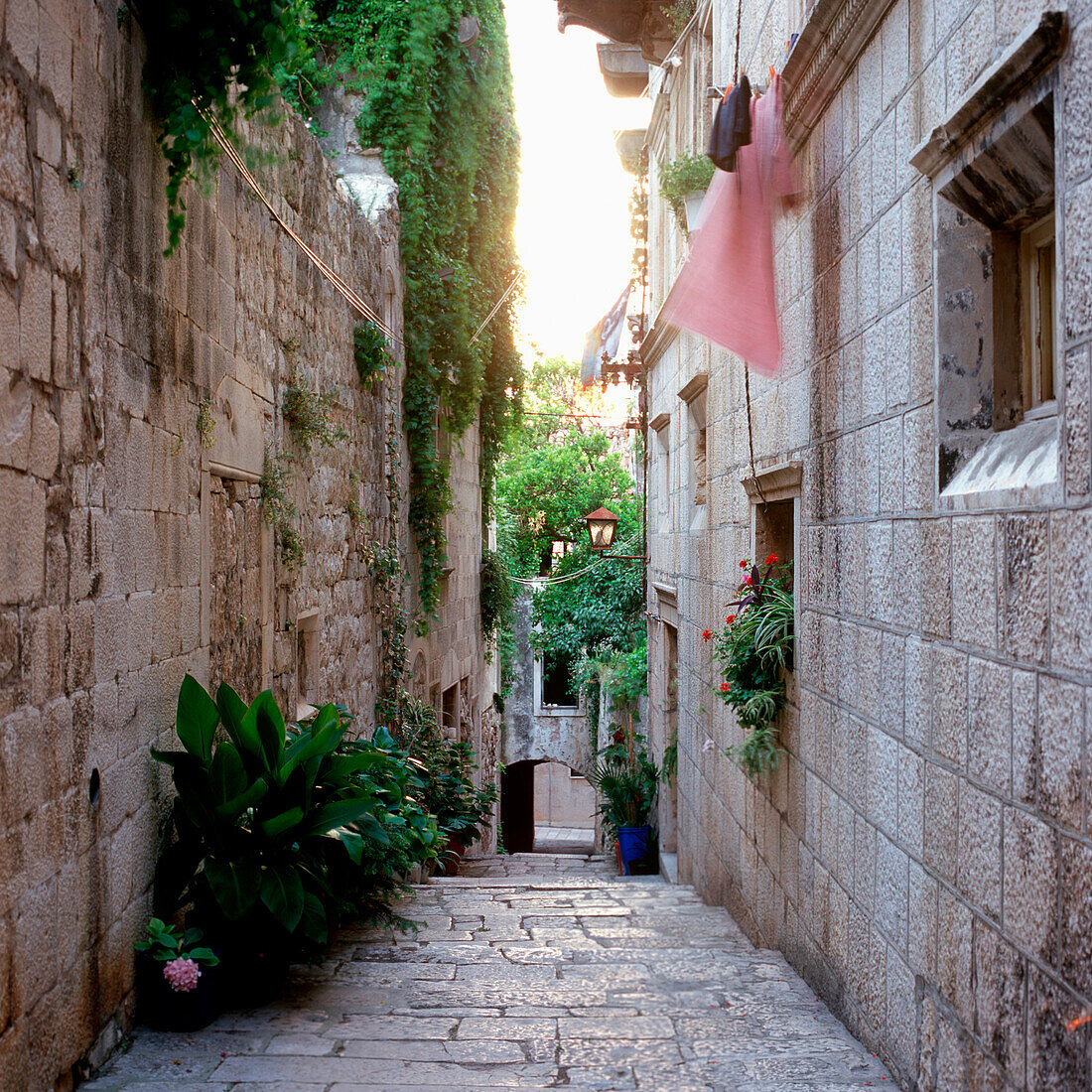 Blick in eine Gasse mit alten Steinhäusern und Wäscheleinen an den Fassaden, Korcula, Dalmatien, Kroatien