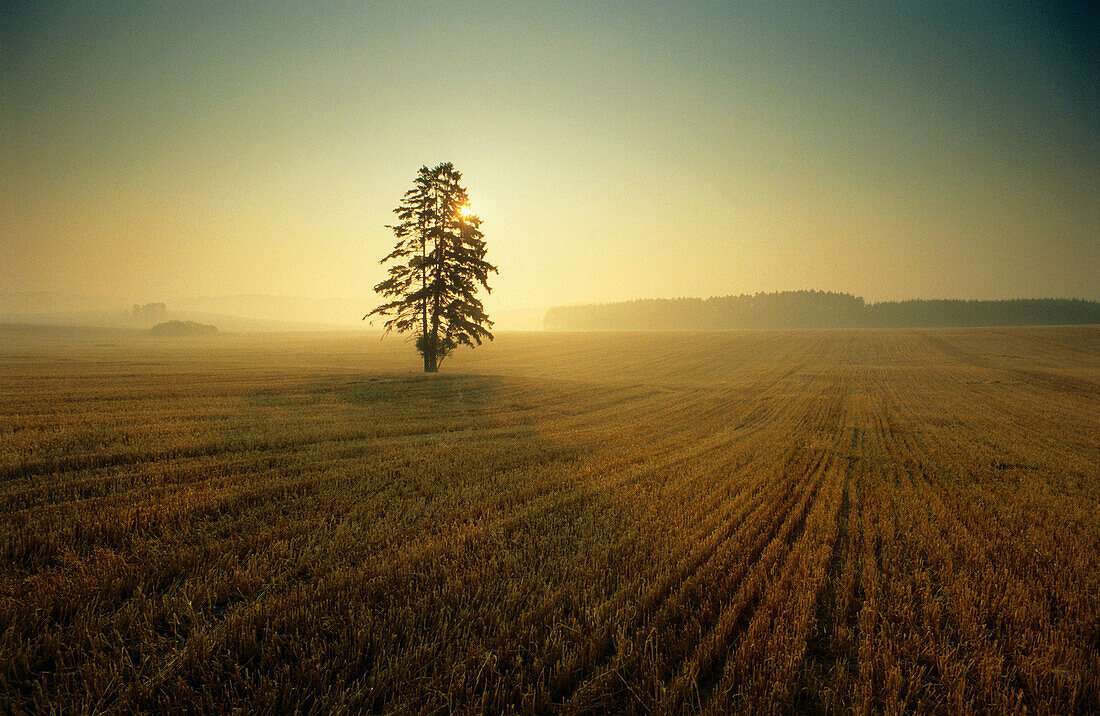 Landschaft in Thüringen in der Dämmerung, Deutschland