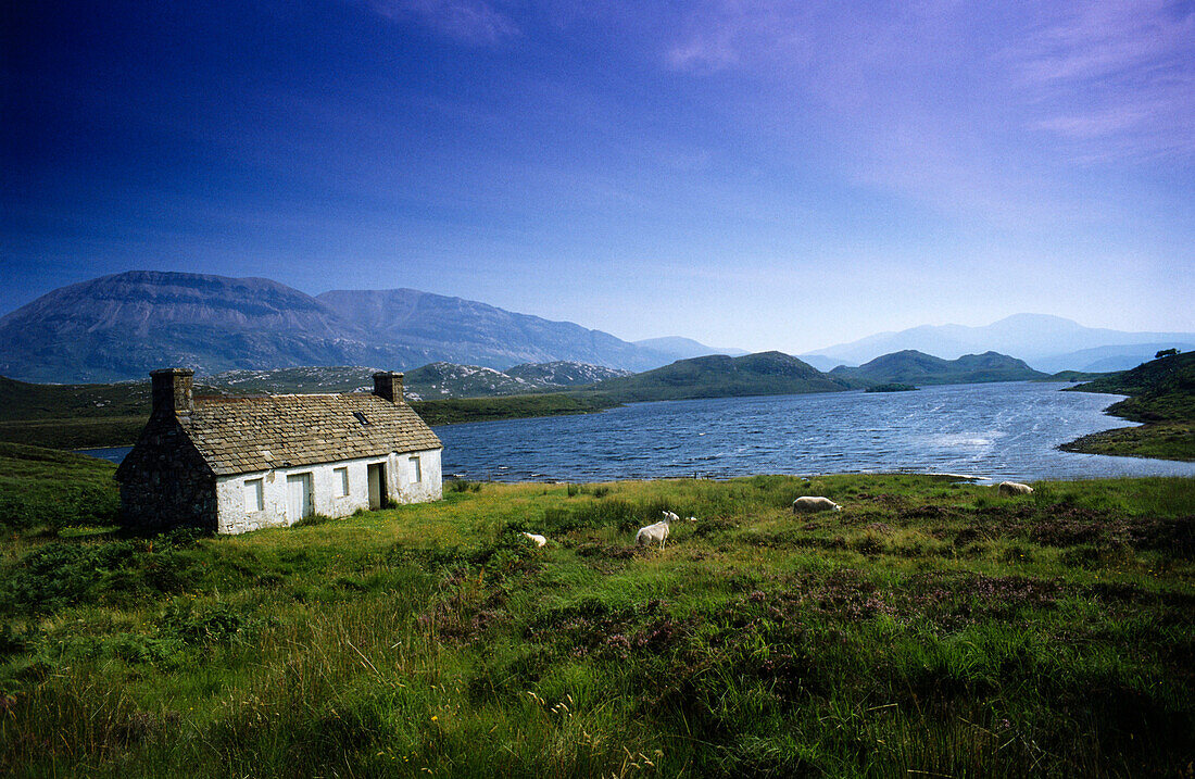 A farmhouse on the shore of Loch More, Sutherland, Scotland, Great Britain