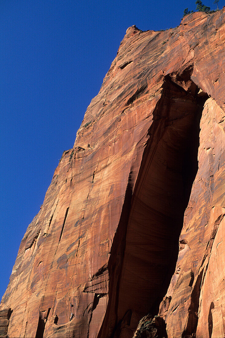 Rockclimbers on Zion Canyon Wall, Zion National Park, Utah, USA