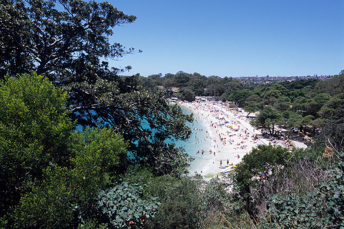 Shark Beach at Nielsen Park, Sydney, New South Wales, Australia